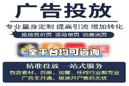 百度推广实战攻略：案例与策略